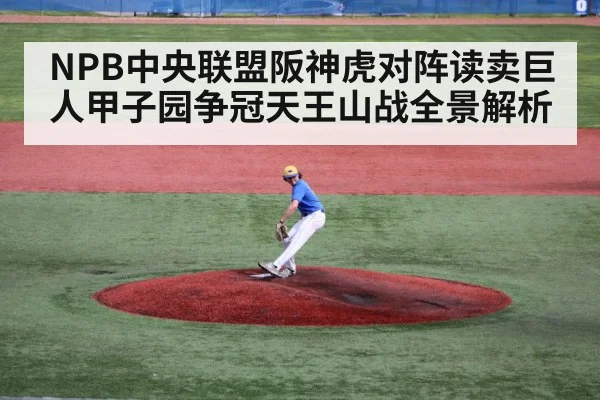 NPB中央联盟阪神虎对阵读卖巨人甲子园争冠天王山战全景解析 | hth